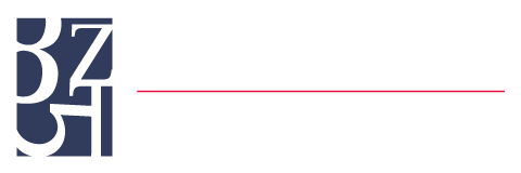 Talenz Audit